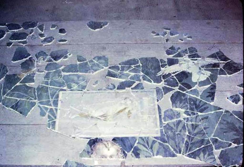 VI.17.42 Pompeii. 1980. Oecus 32. Part of garden fresco from south wall, during its reconstruction. Photo by Stanley A. Jashemski.   
Source: The Wilhelmina and Stanley A. Jashemski archive in the University of Maryland Library, Special Collections (See collection page) and made available under the Creative Commons Attribution-Non Commercial License v.4. See Licence and use details. J80f0198
