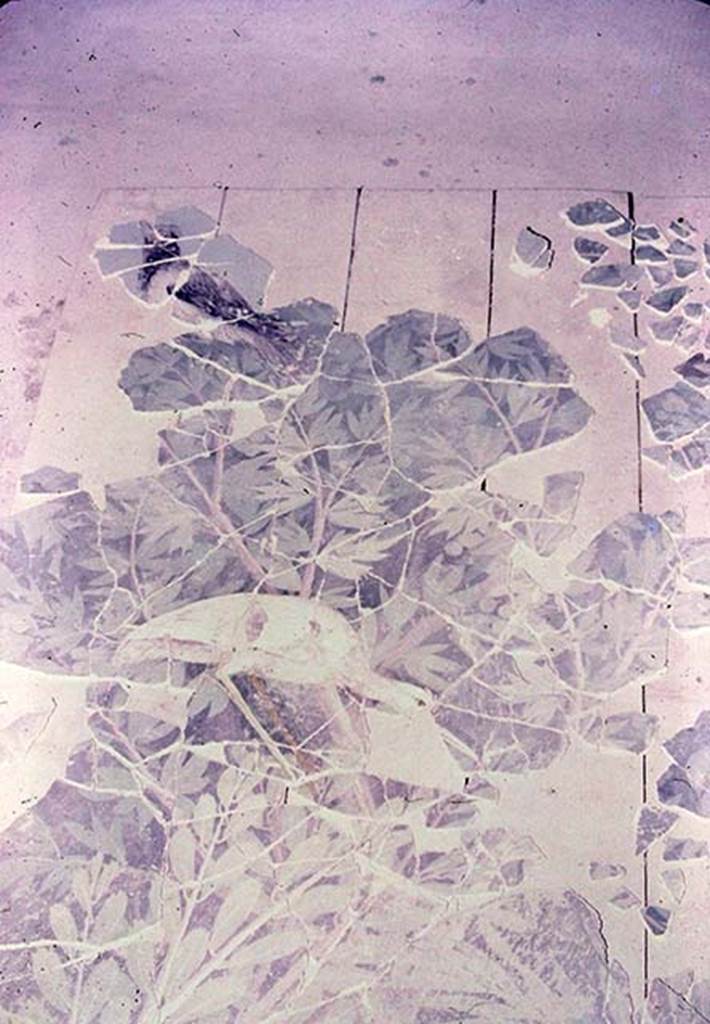 VI.17.42 Pompeii. 1980. Oecus 32. Part of garden fresco from south wall, during its reconstruction.
Photo by Stanley A. Jashemski.
Source: The Wilhelmina and Stanley A. Jashemski archive in the University of Maryland Library, Special Collections (See collection page) and made available under the Creative Commons Attribution-Non Commercial License v.4. See Licence and use details.
J80f0204