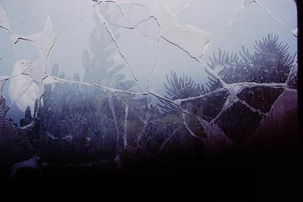 VI.17.42 Pompeii. 1980. Oecus 32. Part of garden fresco from south wall, during its reconstruction. Photo by Stanley A. Jashemski.
Source: The Wilhelmina and Stanley A. Jashemski archive in the University of Maryland Library, Special Collections (See collection page) and made available under the Creative Commons Attribution-Non Commercial License v.4. See Licence and use details. J80f0198