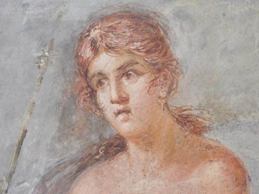 VI.17.42, Pompeii, May 2018. Triclinium 20, detail of Ariadne, from central painting on north wall.
Photo courtesy of Buzz Ferebee.