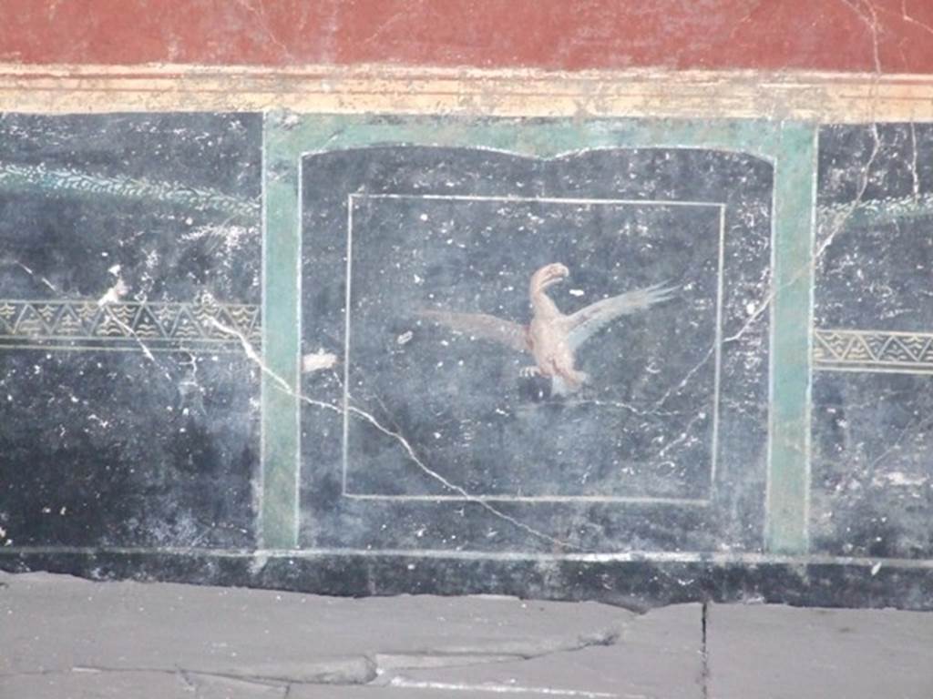 VI.17.42 Pompeii. December 2007. Triclinium 20 overlooking garden,
Black painted zoccolo on east wall with painting of an eagle with wings spread.