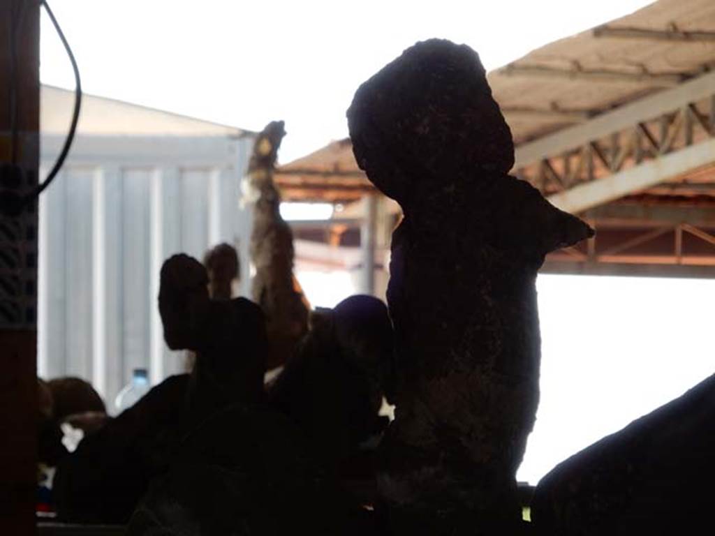 VI.17.42 Pompeii. May 2015. Outline of plaster-cast of child found in lower corridor of VI.17.42. Photo courtesy of Buzz Ferebee.