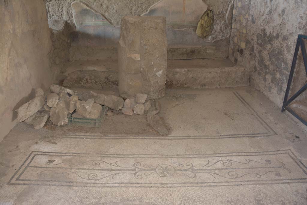 VI.17.42 Pompeii. September 2019. Ala 8, detail of mosaic threshold to doorway
Foto Annette Haug, ERC Grant 681269 DÉCOR.
According to PPM –
“The right half of the mosaic threshold has been restored and has some differences in the termination of the rod that separates the shoots, understood as a branch with two divergent leaves. In the centre of the mosaic threshold is a six-petalled rosette inserted in a
circle flanked by the shoots.”
See Carratelli, G. P., 1990-2003. Pompei: Pitture e Mosaici. VI (6). Roma: Istituto della enciclopedia italiana, (p. 57).