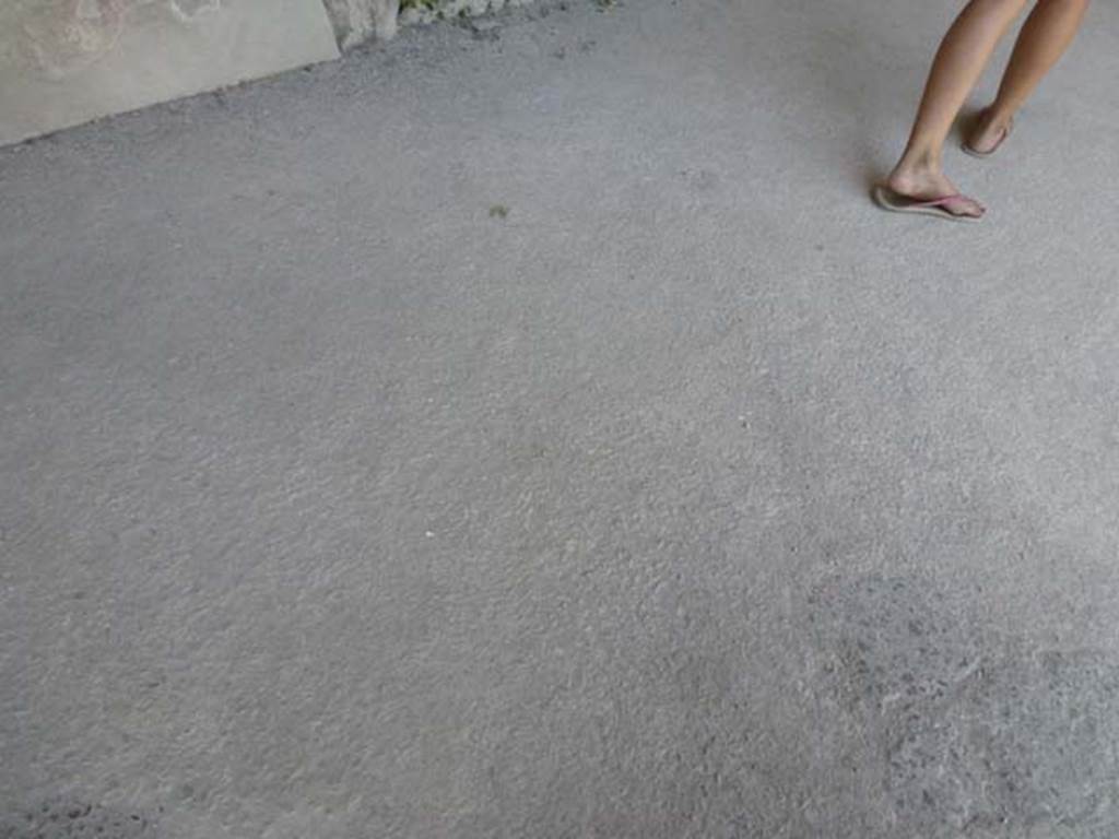 VII.1.8 Pompeii. June 2012. Flooring of north portico B. Photo courtesy of Michael Binns.