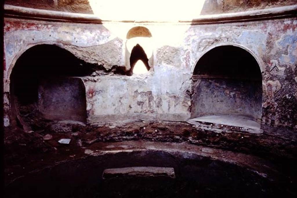 VII.1.8 Pompeii. 1984. Recesses in frigidarium 4.
Source: The Wilhelmina and Stanley A. Jashemski archive in the University of Maryland Library, Special Collections (See collection page) and made available under the Creative Commons Attribution-Non Commercial License v.4. See Licence and use details.
J84f0013