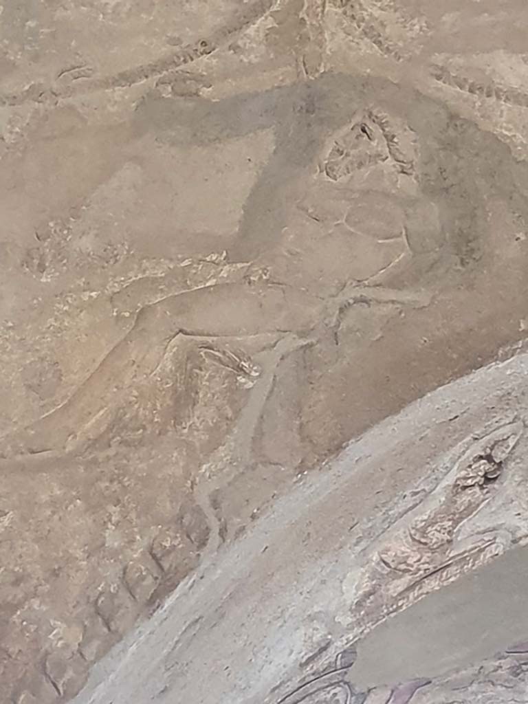 VII.1.8 Pompeii. July 2021. Detail of stucco from upper west wall in men’s changing room 2.
Foto Annette Haug, ERC Grant 681269 DÉCOR