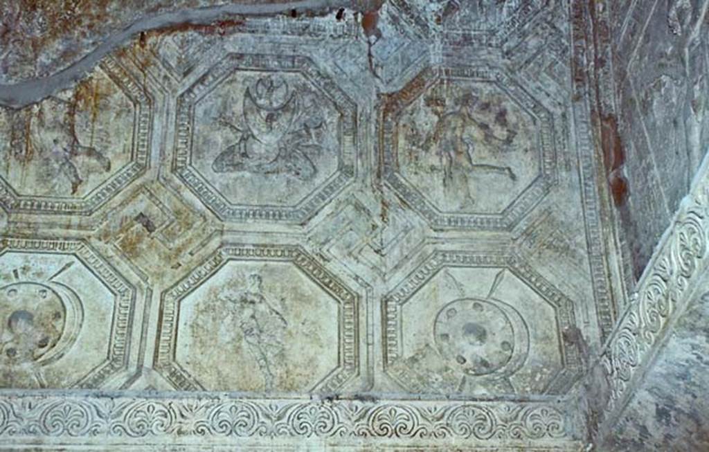 VII.1.8 Pompeii. October 2001. Detail of stucco plaster in men’s changing room 2.
Photo courtesy of Peter Woods.