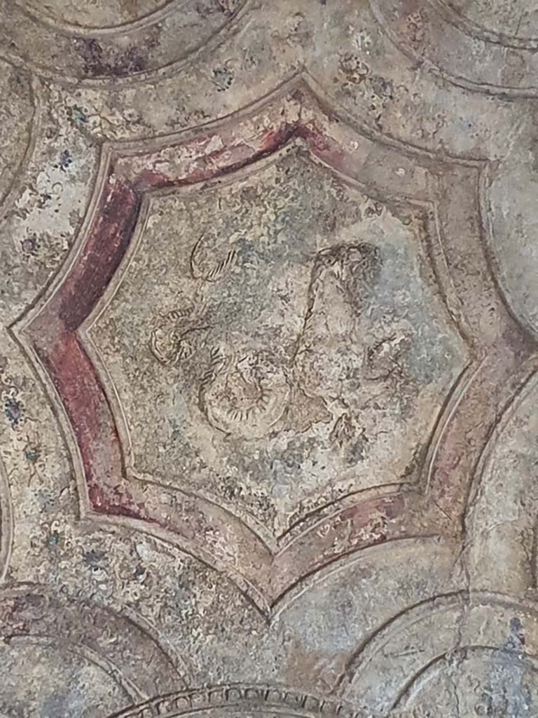 VII.1.8 Pompeii. July 2021. Detail of stucco from ceiling in vestibule 1.
Foto Annette Haug, ERC Grant 681269 DÉCOR
