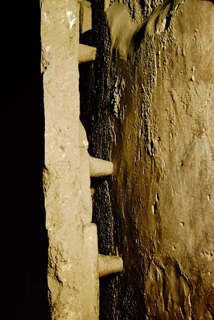 VII.1.8 Pompeii. 1957.
Looking at the rear of one of the “tegulae mammatae”, allowing for the hot air to circulate.
Photo by Stanley A. Jashemski.
Source: The Wilhelmina and Stanley A. Jashemski archive in the University of Maryland Library, Special Collections (See collection page) and made available under the Creative Commons Attribution-Non-Commercial License v.4. See Licence and use details.
J57f0118