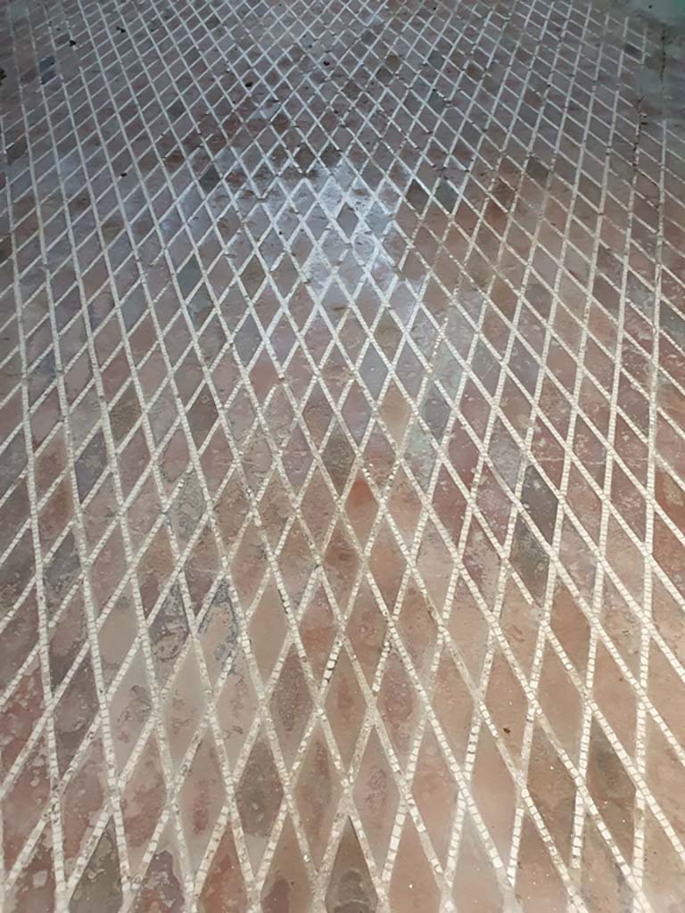 VII.1.8 Pompeii. July 2021. Mosaic floor in women’s changing room 11
Foto Annette Haug, ERC Grant 681269 DÉCOR