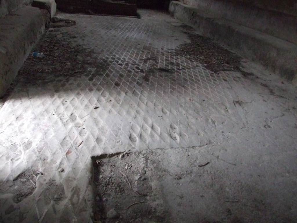 VII.1.8 Pompeii. December 2007. Mosaic floor in women’s changing room 11.