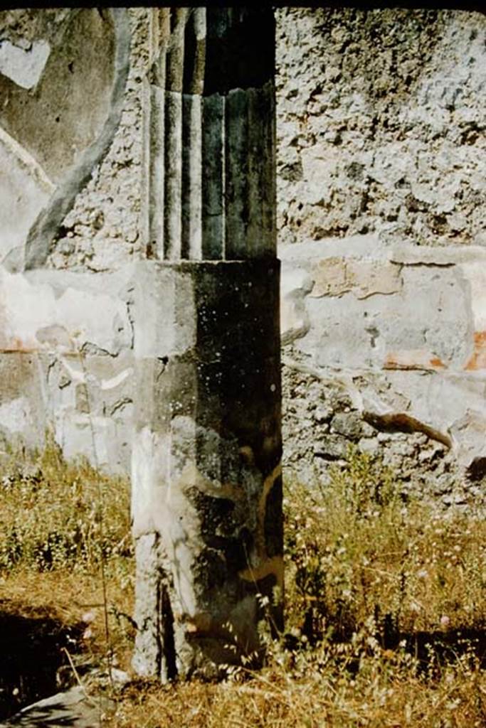 VI.1.25 Pompeii. 1957. Column in peristyle 31.
Photo by Stanley A. Jashemski.
Source: The Wilhelmina and Stanley A. Jashemski archive in the University of Maryland Library, Special Collections (See collection page) and made available under the Creative Commons Attribution-Non-Commercial License v.4. See Licence and use details.
J57f0122