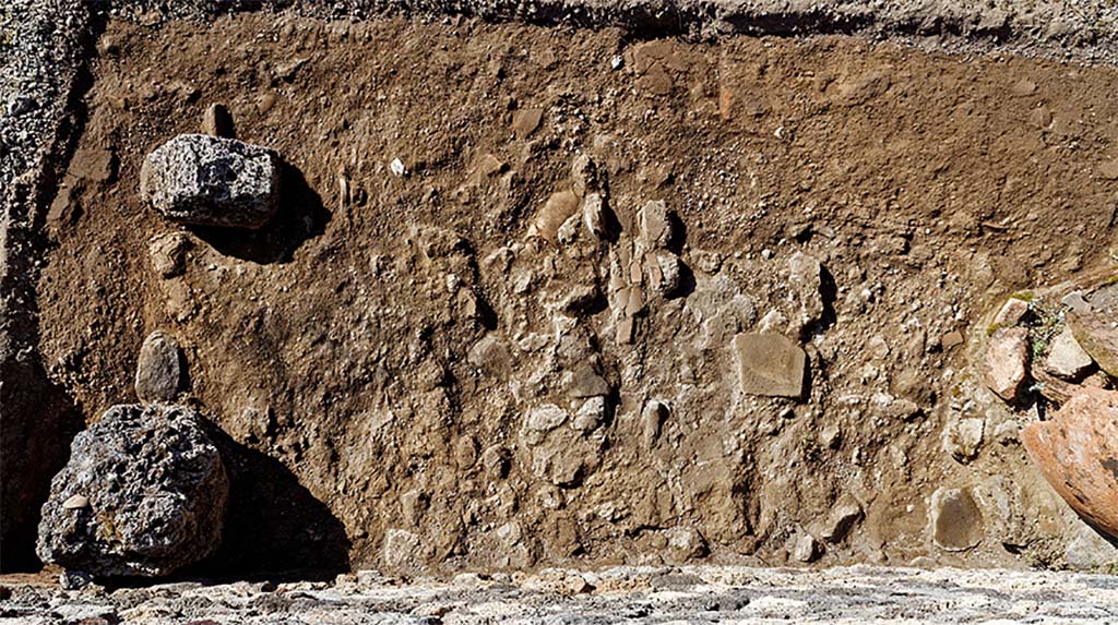 Fig. 20 – Pompéi, boulangerie VII 1, 36-37 – Maçonnerie arasée à l’est du four.
Vue du nord.
Cliché : A. Watel – EFR.