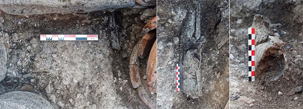 Fig. 21 – Pompéi, boulangerie VII 1, 36-37 – Tuyau de plomb destiné à alimenter le chauffe-eau du four, passant sous le seuil entre l’atrium et la pièce 6.
Vues de l’est et zénithale. Clichés : N. Monteix / A. Watel – EFR.