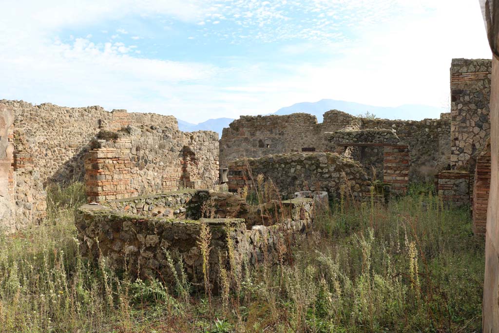 VII.1.36 Pompeii. December 2018. Looking south-east across large tub or basin in atrium. Photo courtesy of Aude Durand.