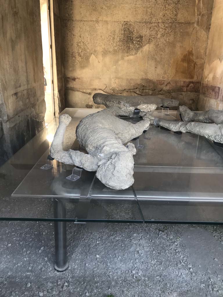 VII.1.47 Pompeii. April 2019. Room 8, looking towards south-west corner, and west wall.
The doorway to corridor 7 is at the west end of the south wall. Photo courtesy of Rick Bauer.