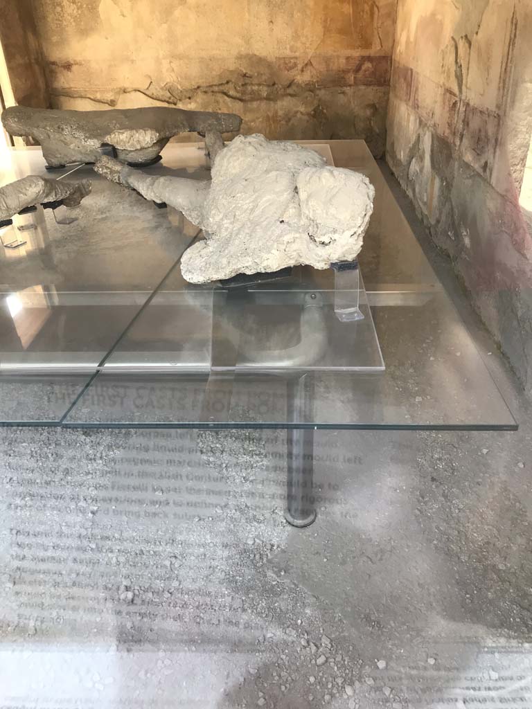 VII.1.47 Pompeii. April 2019.
Room 8, looking towards west wall, north-west corner and north wall.
Photo courtesy of Rick Bauer.