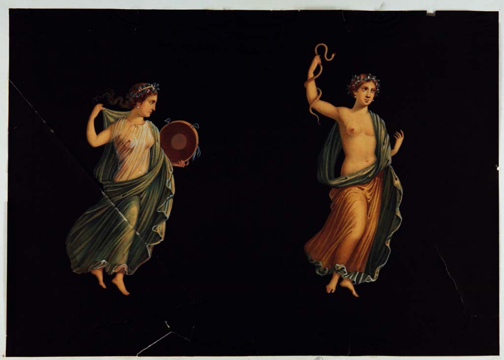 VII.1.47 Pompeii. Room 8, Maenads in flight from side panels with black background.
Copy painting by Antonio Ala, not signed but attributed to him, the Maenads have now faded.
Now in Naples Archaeological Museum. Inventory number ADS 496.
Photo © ICCD. http://www.catalogo.beniculturali.it
Utilizzabili alle condizioni della licenza Attribuzione - Non commerciale - Condividi allo stesso modo 2.5 Italia (CC BY-NC-SA 2.5 IT)
See Helbig, W., 1868. Wandgemälde der vom Vesuv verschütteten Städte Campaniens. Leipzig: Breitkopf und Härtel, (485, 494).