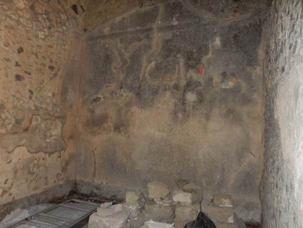 VII.1.47 Pompeii. May 2017. Interior painted plaster of small room 22. Photo courtesy of Buzz Ferebee.