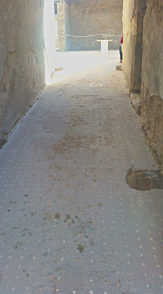 VII.1.47 Pompeii. May 2017.
Looking east along flooring in entrance corridor. Photo courtesy of Giuseppe Ciaramella.