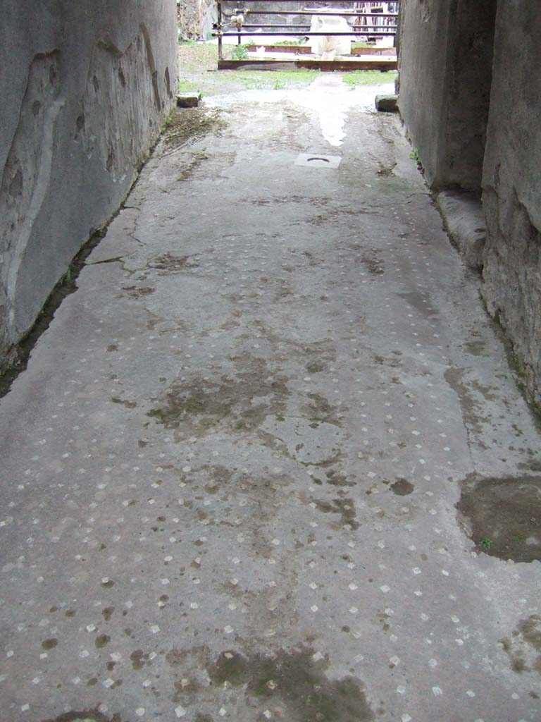 VII.1.47 Pompeii. December 2005. Entrance corridor or fauces 1.
According to Dyer
“This house, excavated in 1851, adjoins the Stabian Baths in the Vico del Lupanare, but has its principal entrance in the Strada Stabiana; from an inscription near which it derives its first name. Its second name was taken from the mosaic inscription on the threshold of the atrium ‘Salve lucru’, with the customary omission of the “m”, meaning “Welcome, gain!” from which it has been inferred that the owner was engaged in trade, The house is a sort of double one, being connected with that called the House of the Russian Princes VII.1.25.
It is chiefly remarkable for its paintings, which are in a good state of preservation.
The best of them are the three in the room called the Exedra.
The first of these represents Neptune and Apollo presiding over the building of the walls of Troy;
In the second, Thetis presents herself to Vulcan to demand the arms of Achilles;
In the third is depicted the drunken Hercules.
The figures are about one-third of their natural size.”
See Dyer, T., 1867. The Ruins of Pompeii. London: Bell and Daldy. (p.81)