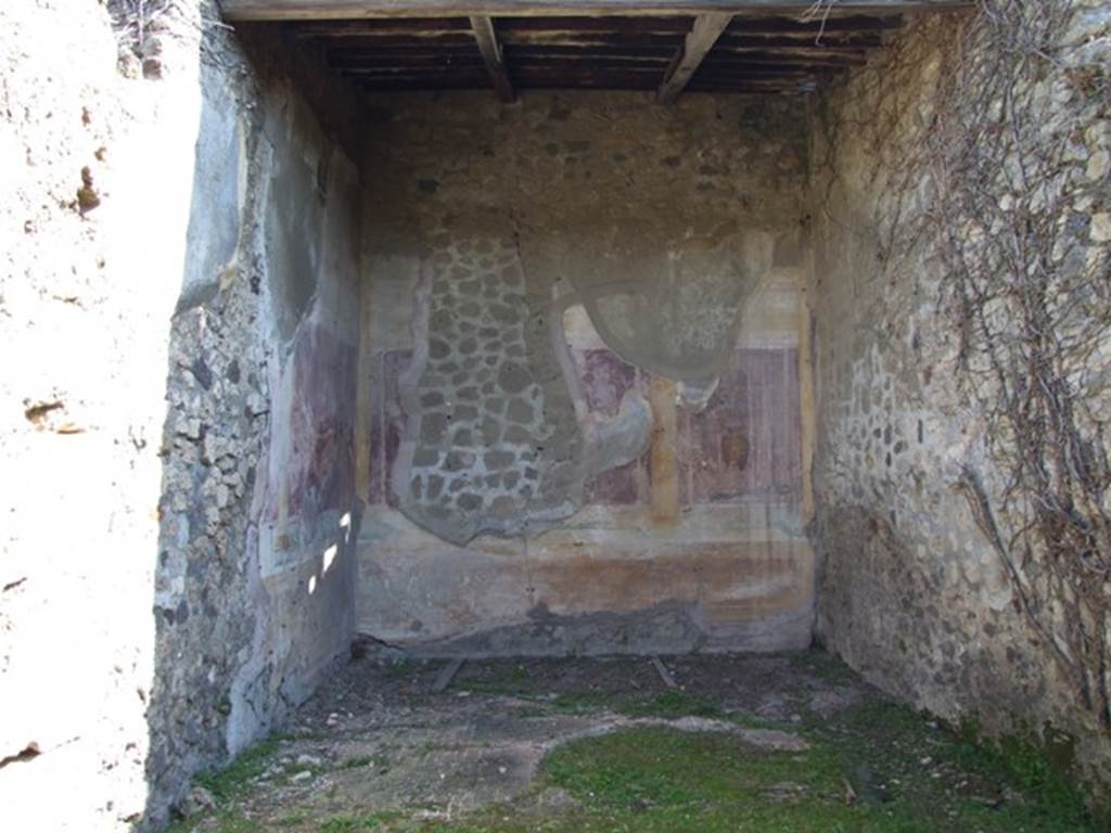 VII.2.16 Pompeii. March 2009. Room 10. Oecus. East wall.