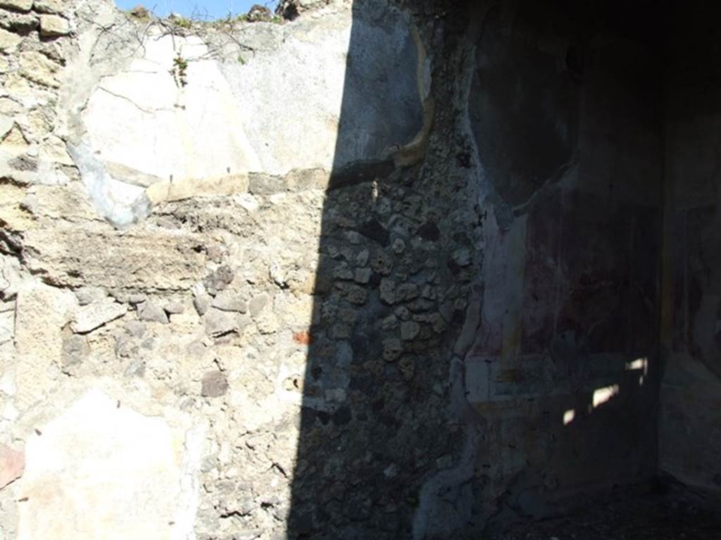VII.2.16 Pompeii. March 2009. Room 10. Oecus. North wall.