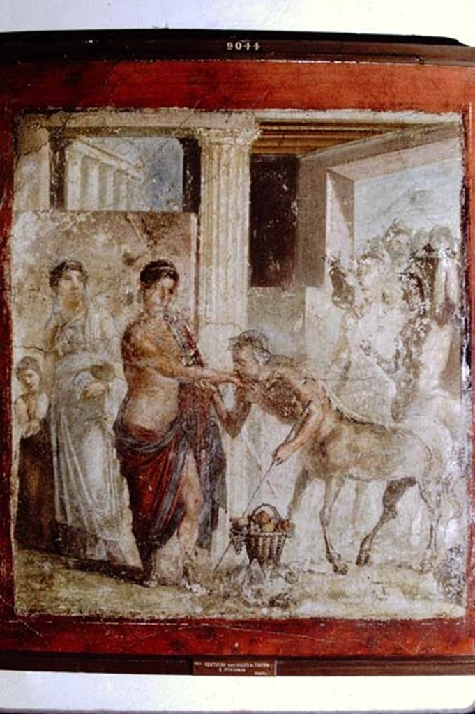 VII.2.16 Pompeii, 1968.  Room 17, west wall of exedra.  Wall painting of the wedding of Pirithous and Hippodamia.  (The label says, Pompei, Centaur at the wedding of Piritoo and Ippodamia). Now in Naples Archaeological Museum.  Inventory number 9044. Photo by Stanley A. Jashemski.
Source: The Wilhelmina and Stanley A. Jashemski archive in the University of Maryland Library, Special Collections (See collection page) and made available under the Creative Commons Attribution-Non Commercial License v.4. See Licence and use details. J68f0800

