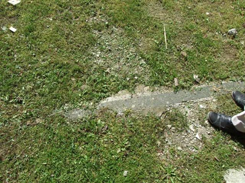 VII.2.16 Pompeii.  March 2009.  Room 2.  Remains of mosaic floor, in atrium.