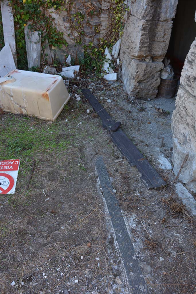 VII.2.16 Pompeii. October 2019. Room 2, remains of mosaic flooring, in atrium.
Foto Annette Haug, ERC Grant 681269 DÉCOR

