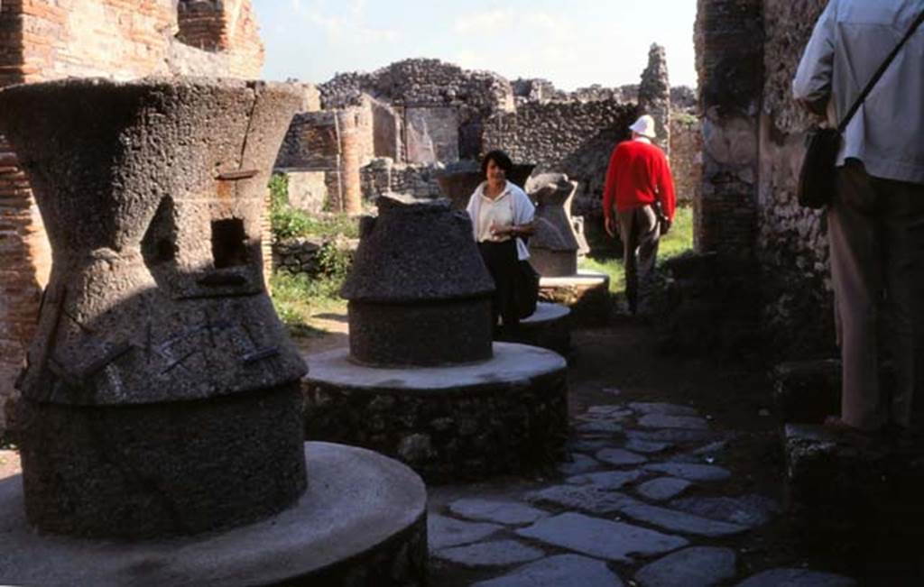 VII.2.22 Pompeii. February 1988. Looking east along mills in bakery.
Photo by Joachime Méric courtesy of Jean-Jacques Méric.