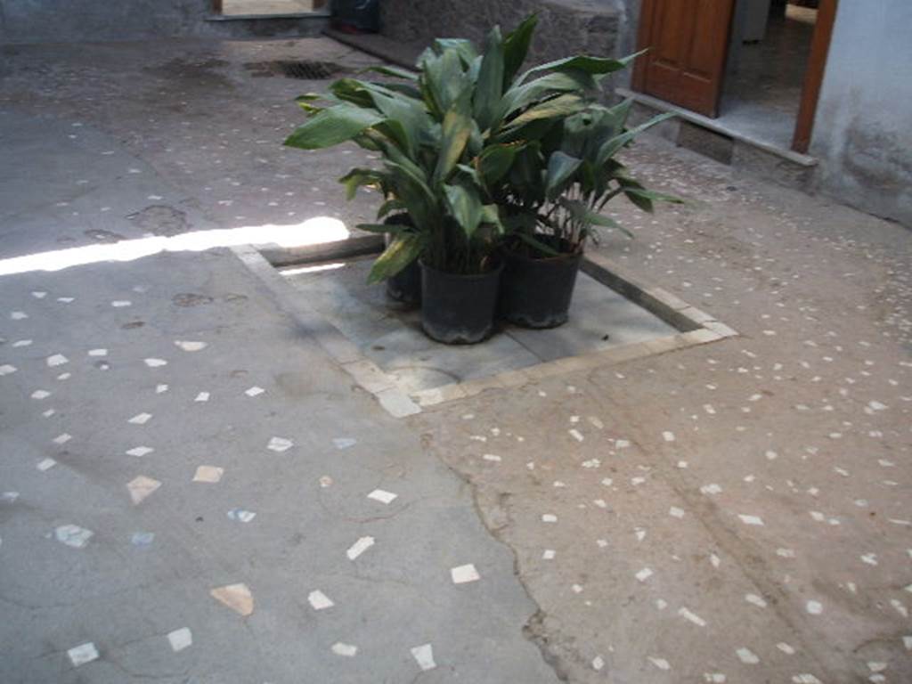 VII.4.10 Pompeii. September 2005. Impluvium in atrium.
This house took its name from a life-size painting of a sitting Bacchus with a panther at his feet, which decorated the atrium. (Helbig 391)
In the exedra nearby were another three paintings, found August 1826 –
Venus and Adonis (Helbig 339), Cimon and Pero (Helbig 1376), and Hector, Andromache and Astyanax (Helbig 1314).
A beautiful marble floor was transported to the museum on 22nd July 1828.
See Breton, Ernest. 1870. Pompeia, Guide de visite a Pompei, 3rd ed. Paris, Guerin.
See Helbig, W., 1868. Wandgemälde der vom Vesuv verschütteten Städte Campaniens. Leipzig: Breitkopf und Härtel.
See Kuivalainen, I., 2021. The Portrayal of Pompeian Bacchus. Commentationes Humanarum Litterarum 140. Helsinki: Finnish Society of Sciences and Letters, (p.120, C21).