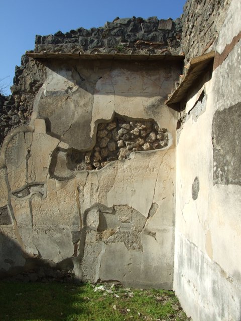 VII.4.31 Pompeii. March 2009. Room 20. Oecus. South wall.
