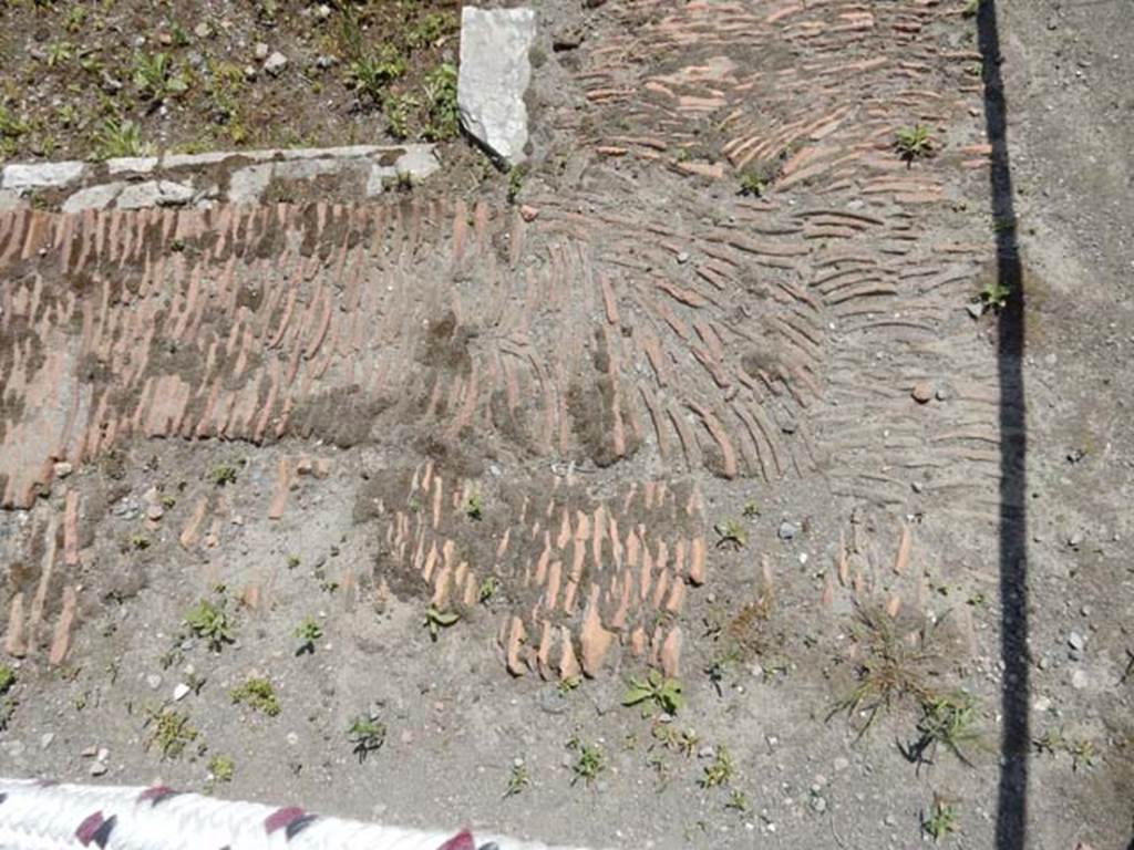 VII.4.48 Pompeii. May 2015. Room 2, detail of impluvium surround.
Photo courtesy of Buzz Ferebee.