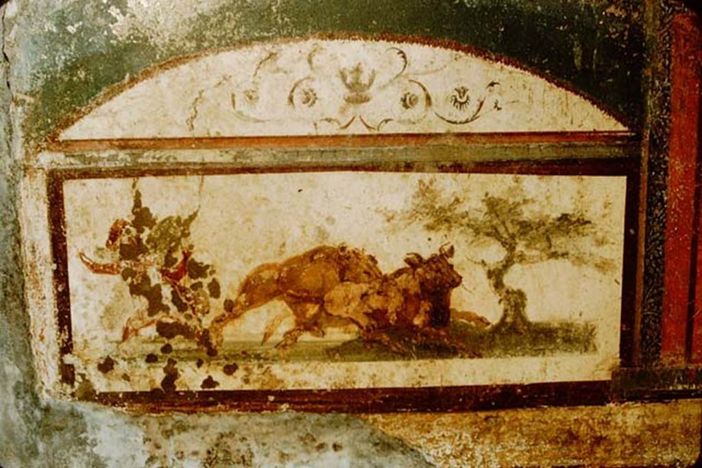 VII.4.48 Pompeii. 1957. Room 11, detail from east wall of tablinum. Photo by Stanley A. Jashemski.
Source: The Wilhelmina and Stanley A. Jashemski archive in the University of Maryland Library, Special Collections (See collection page) and made available under the Creative Commons Attribution-Non Commercial License v.4. See Licence and use details.
J57f0352