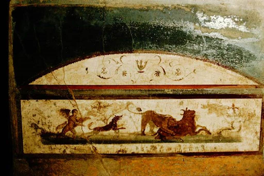 VII.4.48 Pompeii. 1957. Room 11, detail from south wall of tablinum. Photo by Stanley A. Jashemski.
Source: The Wilhelmina and Stanley A. Jashemski archive in the University of Maryland Library, Special Collections (See collection page) and made available under the Creative Commons Attribution-Non Commercial License v.4. See Licence and use details.
J57f0351