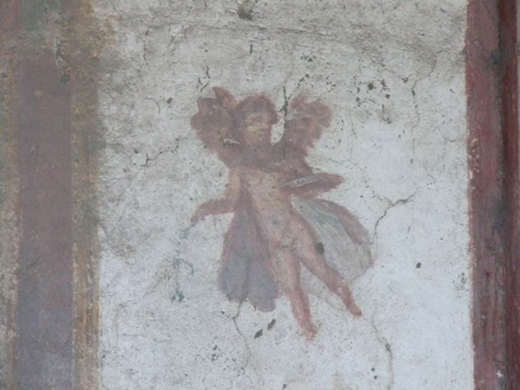 VII.4.48 Pompeii. December 2007. Room 14, cubiculum. West wall.
Wall painting of a winged cupid.