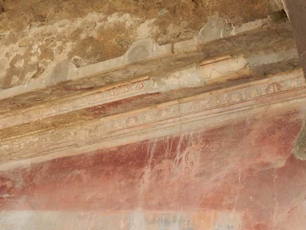 VII.4.48 Pompeii. May 2015. Peristyle, stucco on north end of west wall. Photo courtesy of Buzz Ferebee.