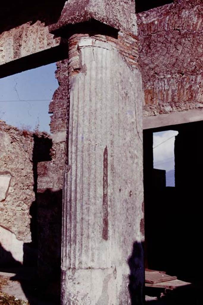 VII.4.59 Pompeii, 1978. Pillar reinforced by two engaged columns on south-west corner of peristyle, with exedra or triclinium y at its rear. Photo by Stanley A. Jashemski.
Source: The Wilhelmina and Stanley A. Jashemski archive in the University of Maryland Library, Special Collections (See collection page) and made available under the Creative Commons Attribution-Non Commercial License v.4. See Licence and use details. J78f0090