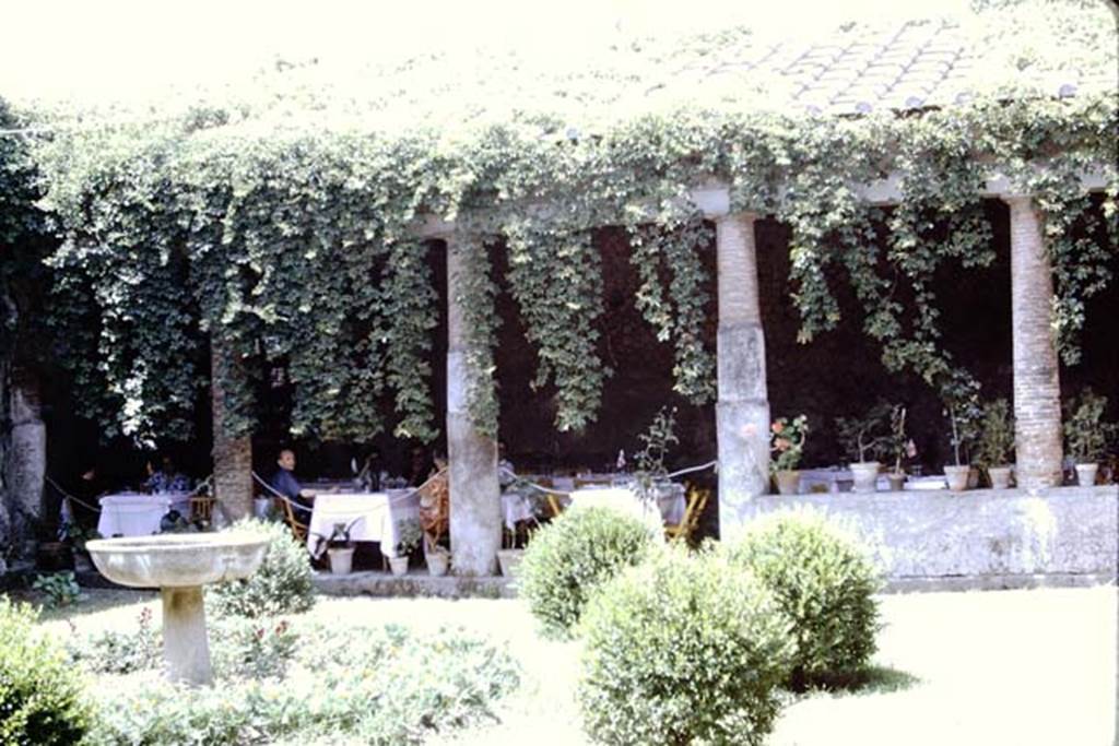 VII.5.24 Pompeii. 1964.  Wilhelmina in the courtyard area, looking towards the arched east portico.
Photo by Stanley A. Jashemski.
Source: The Wilhelmina and Stanley A. Jashemski archive in the University of Maryland Library, Special Collections (See collection page) and made available under the Creative Commons Attribution-Non Commercial License v.4. See Licence and use details.
J64f1549
