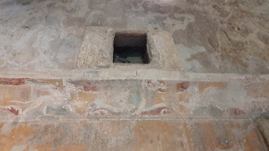 VII.5.24 Pompeii. August 2021. Apodyterium or Changing Room (14), detail form upper south wall.
Foto Annette Haug, ERC Grant 681269 DÉCOR.