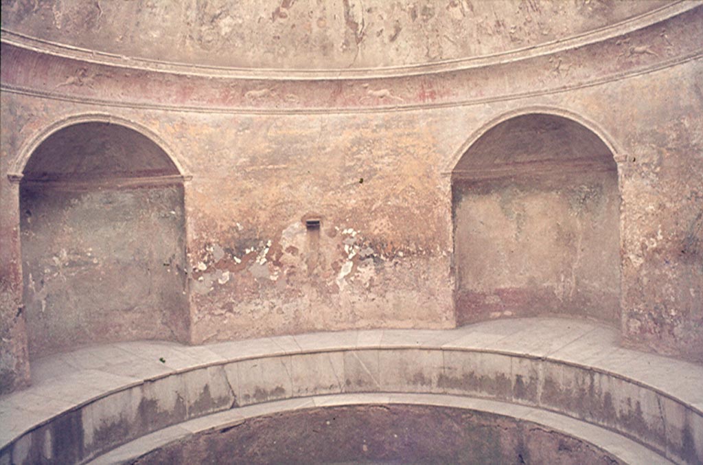 VII.5.24 Pompeii. March 2012. Frigidarium (19) and niches (20). Photo courtesy of Marina Fuxa.
