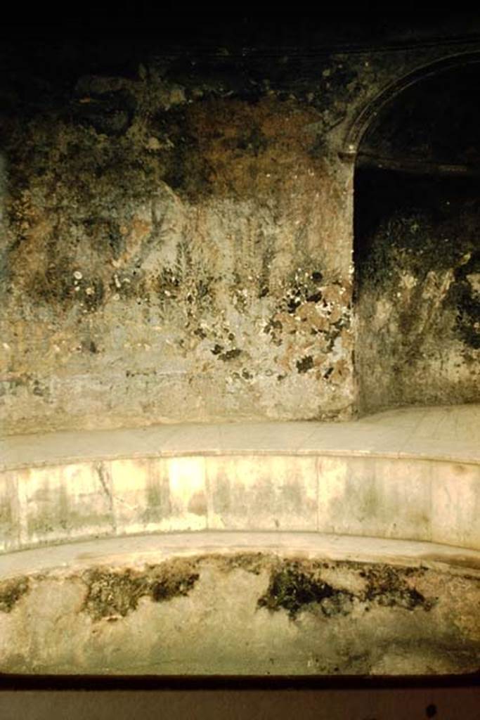 VII.5.24 Pompeii. 1959. Frigidarium (19) and niche (20). Photo by Stanley A. Jashemski.
Source: The Wilhelmina and Stanley A. Jashemski archive in the University of Maryland Library, Special Collections (See collection page) and made available under the Creative Commons Attribution-Non Commercial License v.4. See Licence and use details.
J59f0565