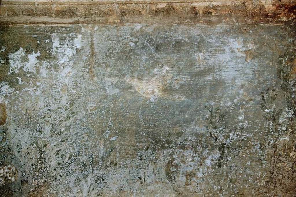 VII.5.24 Pompeii. 1959. In the frigidarium there were garden scenes in the niches with a blue background.
Photo by Stanley A. Jashemski.
Source: The Wilhelmina and Stanley A. Jashemski archive in the University of Maryland Library, Special Collections (See collection page) and made available under the Creative Commons Attribution-Non Commercial License v.4. See Licence and use details.
J59f0567