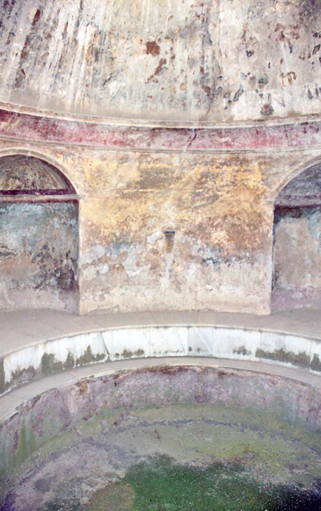VII.5.24 Pompeii. March 2012.  Roof of frigidarium (19). Photo courtesy of Marina Fuxa.
