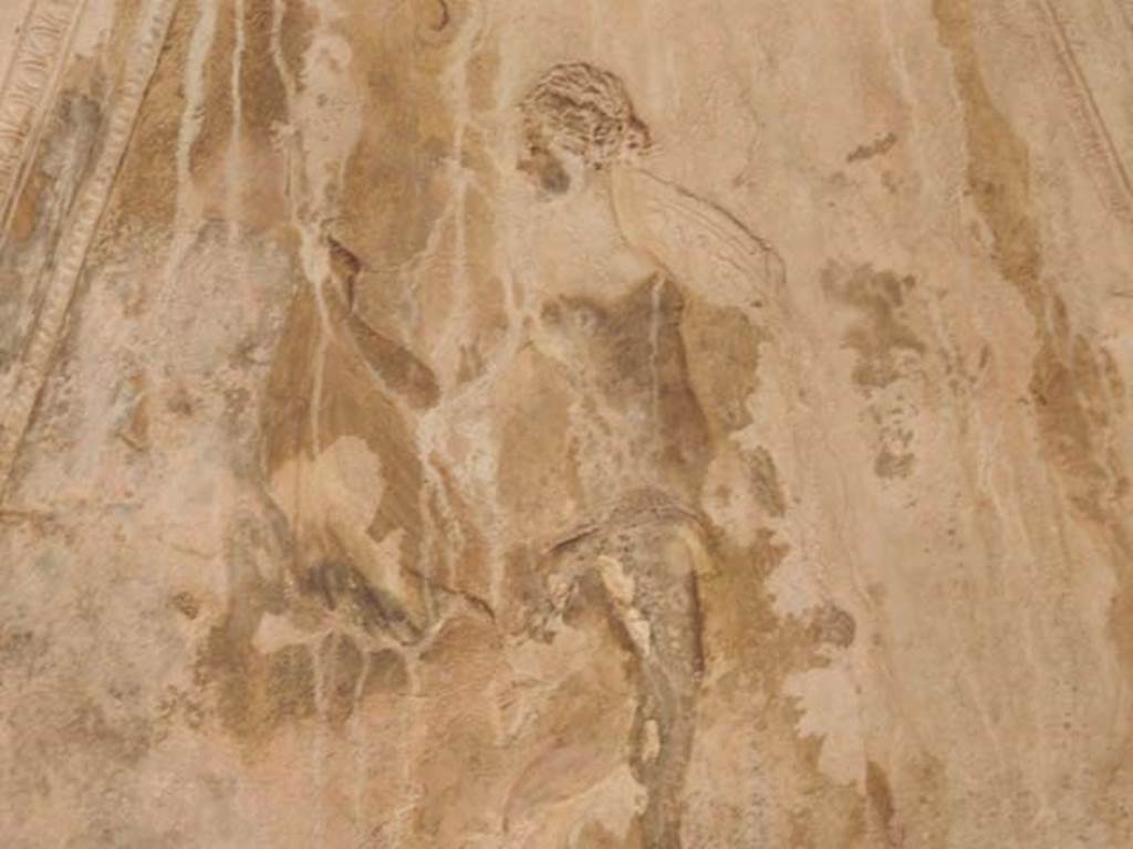 VII.5.24 Pompeii. May 2015. Caldarium (39), detail of stucco on upper east side of basin apse. Photo courtesy of Buzz Ferebee.