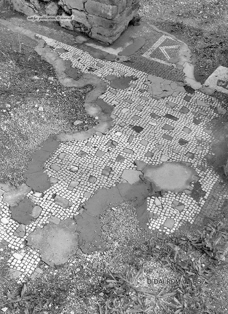 VII.6.3 Pompeii. c.1930. Room 12, flooring in tablinum.
DAIR 41.657. Photo © Deutsches Archäologisches Institut, Abteilung Rom, Arkiv.
See Pernice, E. 1938. Pavimente und Figürliche Mosaiken: Die Hellenistische Kunst in Pompeji, Band VI. Berlin: de Gruyter, (p.58-59, and taf. 21,1 above).
According to PPM –
"The room, restored after the 62 earthquake, preserved the primitive phase of the floor in white tiles with inserts of yellow limestone, red, green, white and dark blue, and with a black border."
(“La stanza, restaurata dopo il terremoto del 62, conservava della fase primitiva il pavimento in tessere bianche con crustae di calcare giallo, rosso, verde, bianco e blu scuro, e bordo nero.”)
See Carratelli, G. P., 1990-2003. Pompei: Pitture e Mosaici. VII,7, Roma: Istituto della enciclopedia italiana, (p. 174.)