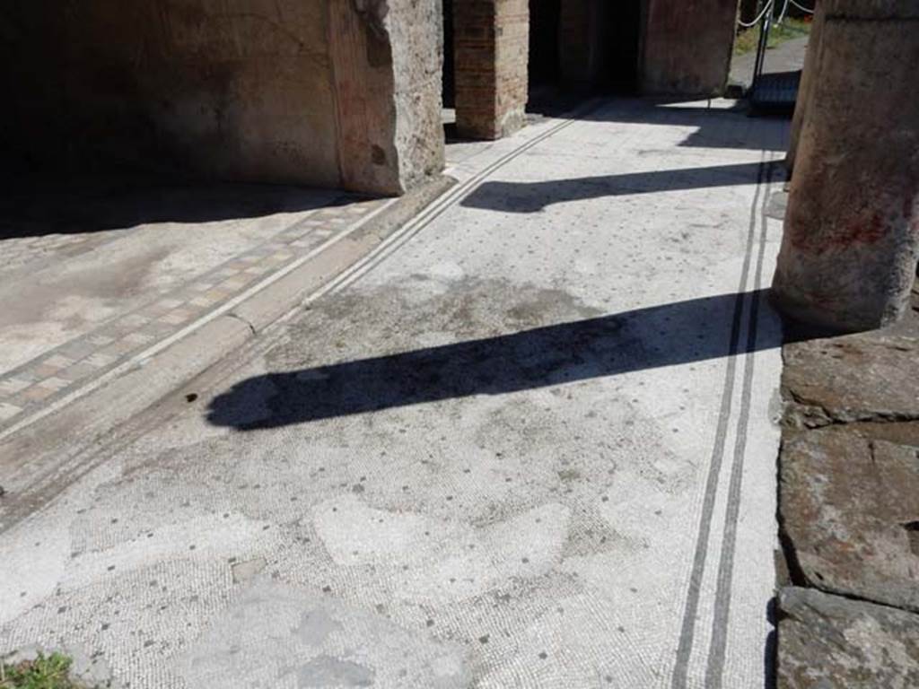 VII.7.5, Pompeii. May 2018. Looking east along north portico, with threshold to doorway of exedra “u”, in upper left.
Photo courtesy of Buzz Ferebee.