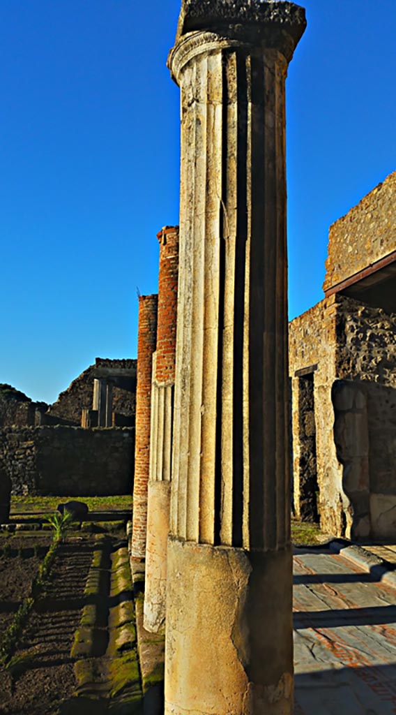VII.7.5 Pompeii. December 2019.
Looking west across north portico. Photo courtesy of Giuseppe Ciaramella.