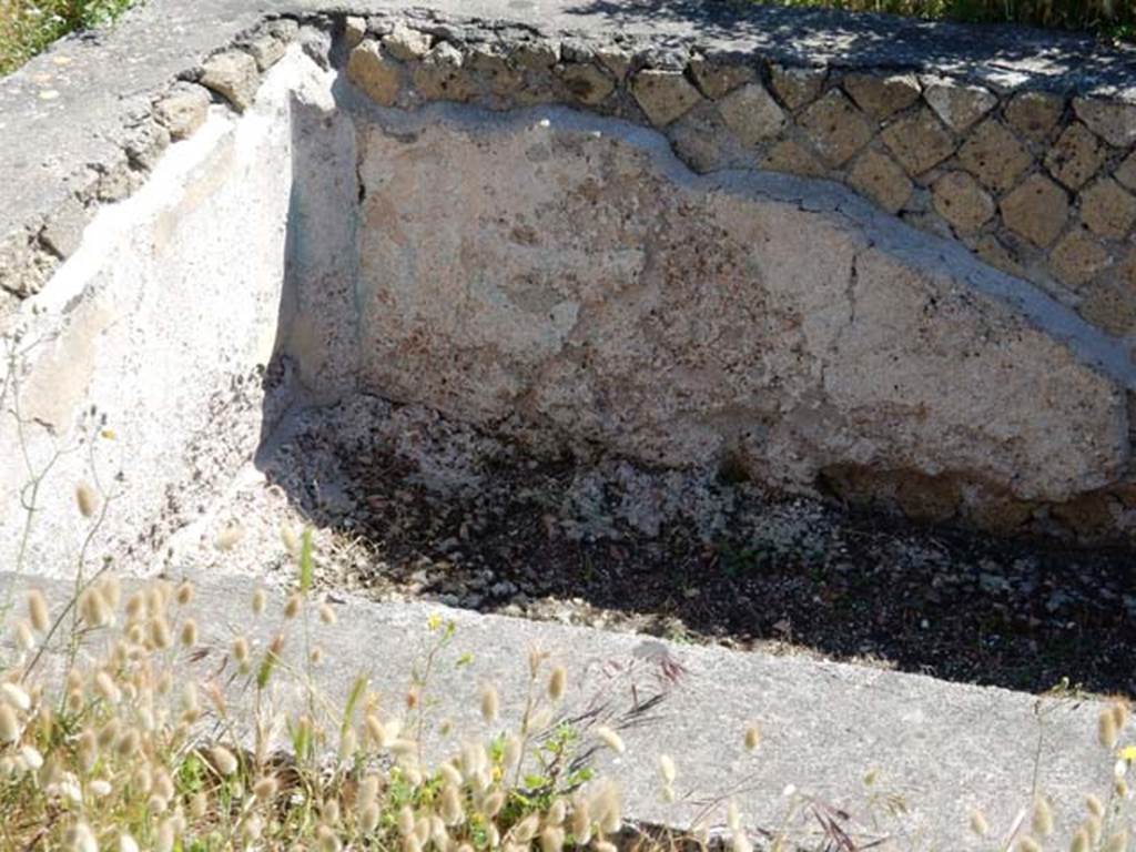 VII.7.5, Pompeii. May 2018. Detail of rectangular pool in peristyle. Photo courtesy of Buzz Ferebee.